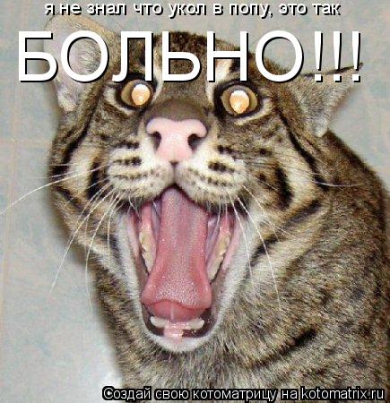 Котоматрица: я не знал что укол в попу, это так БОЛЬНО!!!