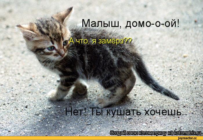 Соз д а и I[с в о ю] к ото м атр и Щ н a i kot о mat г i х * п и ...